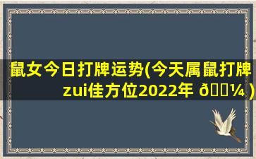 鼠女今日打牌运势(今天属鼠打牌zui
佳方位2022年 🐼 )